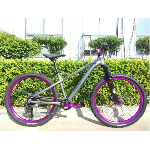 球盟会 558ec
