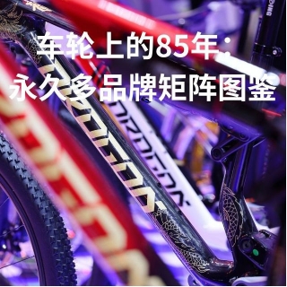 球盟会 85ff5