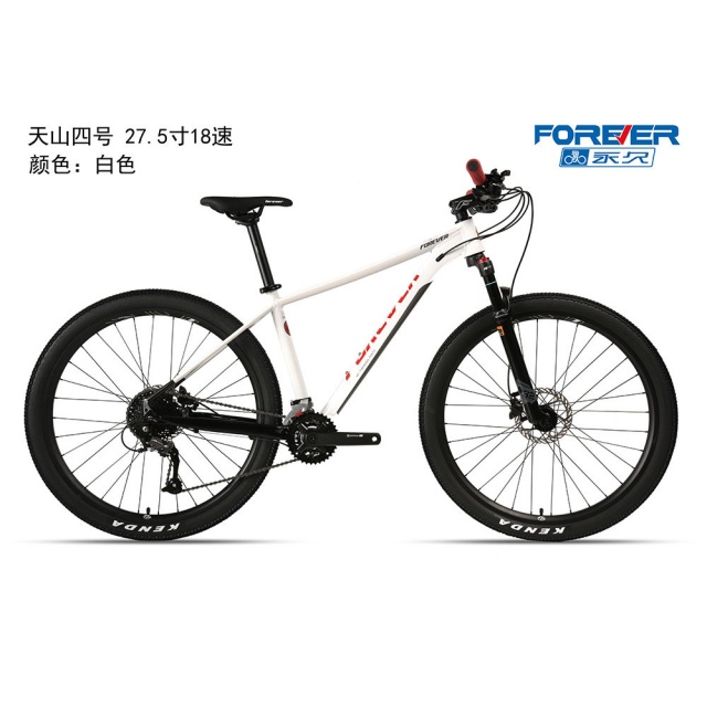 球盟会 291cb