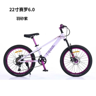 球盟会 433ee