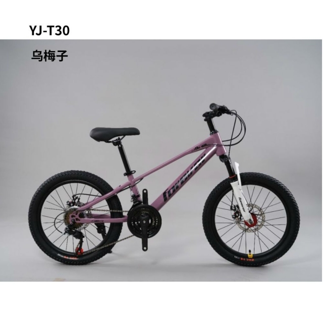 球盟会 3b14a