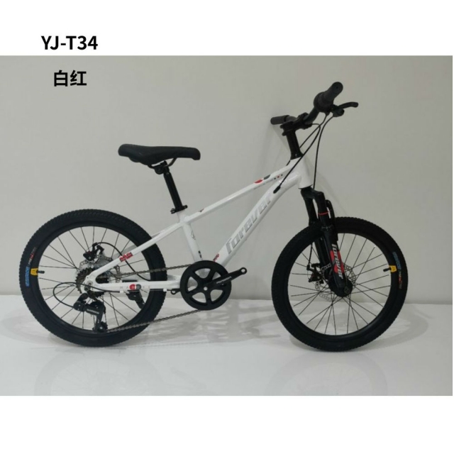 球盟会 b66b2