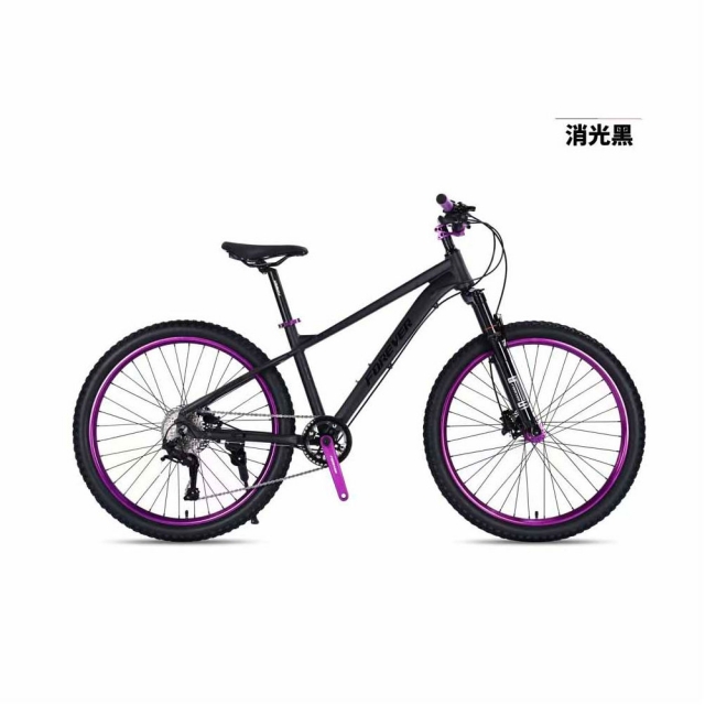 球盟会 9b55a