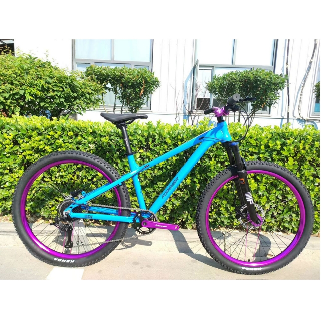 球盟会 50b82