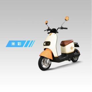 球盟会 d25a1