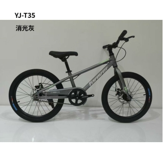 球盟会 a9505