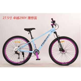 球盟会 494a2