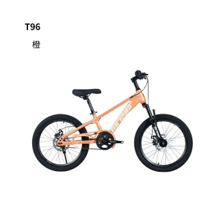 球盟会 89b28