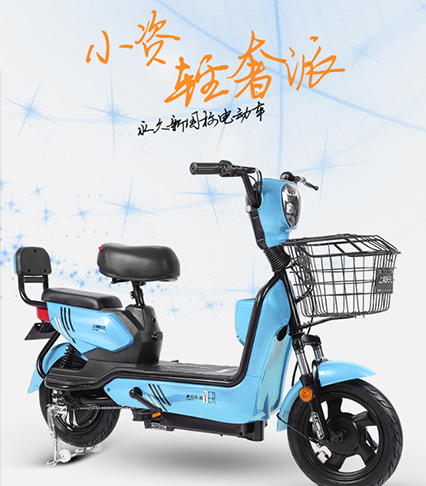 球盟会 d9861